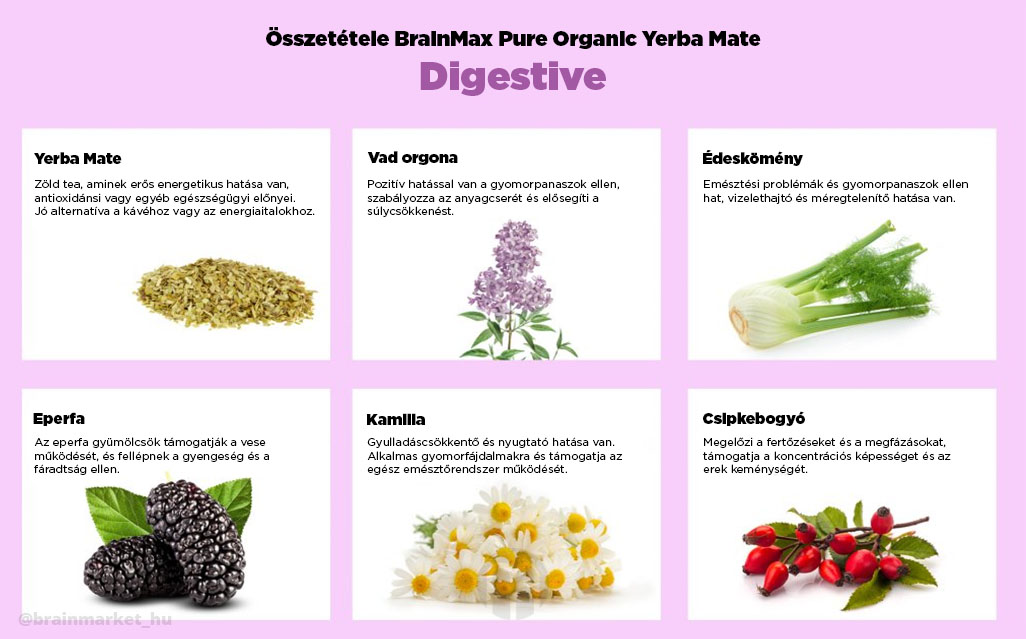 BrainMax Pure Yerba Maté, Digestive, 1000 g Obrázek