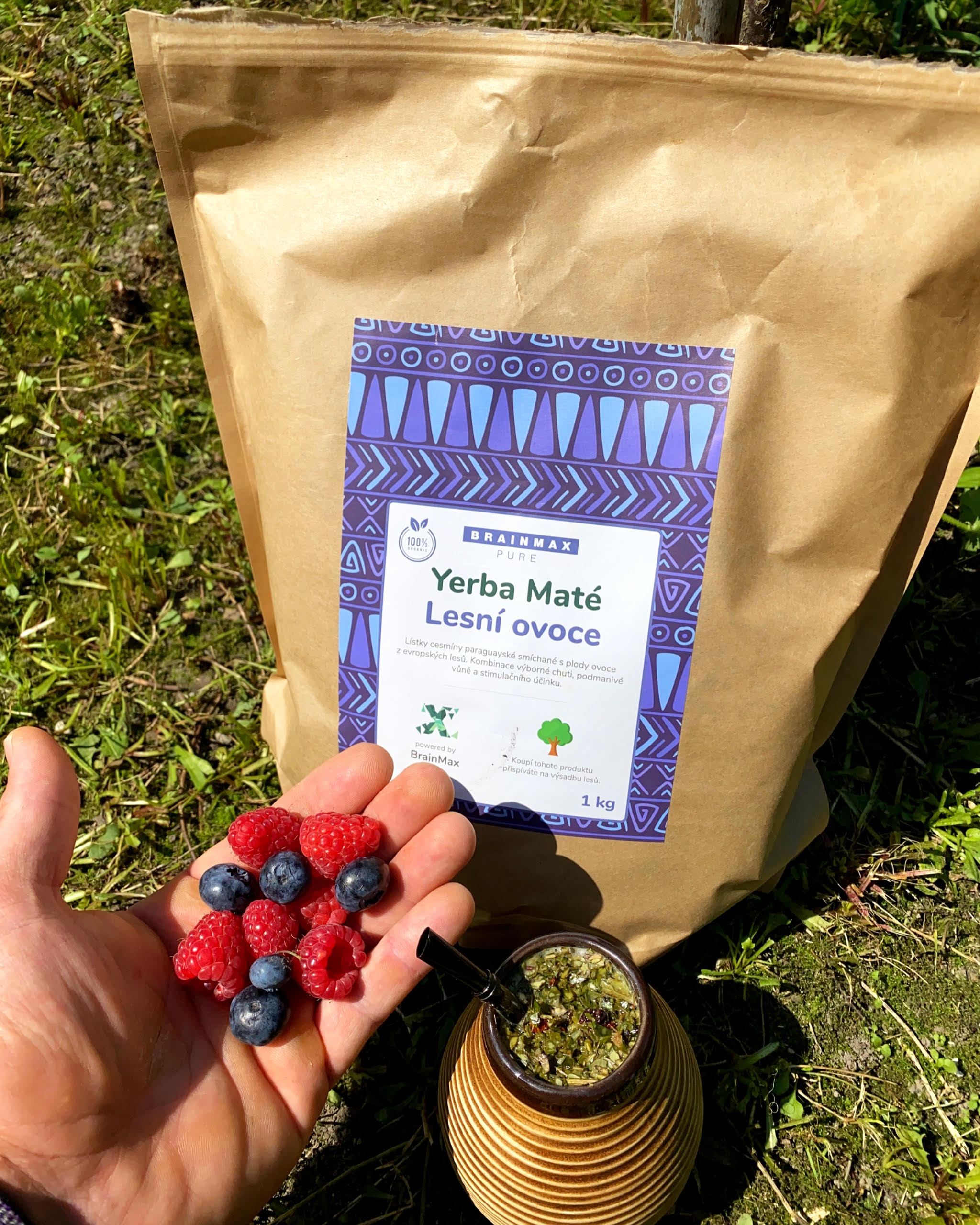 BrainMax Pure Yerba Maté, Lesní ovoce, 1000 g Obrázek