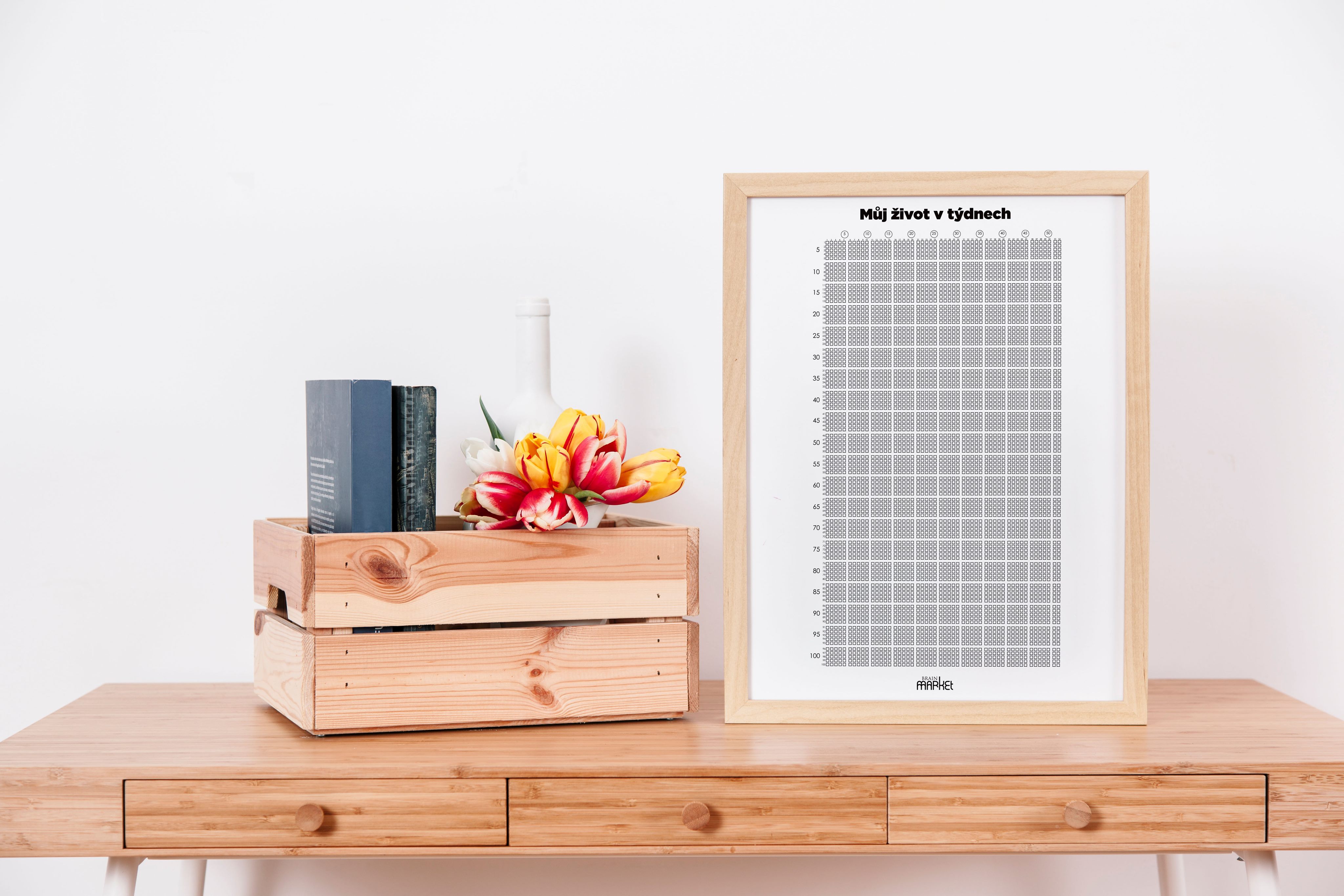 BrainMax Můj život v týdnech Obrázek