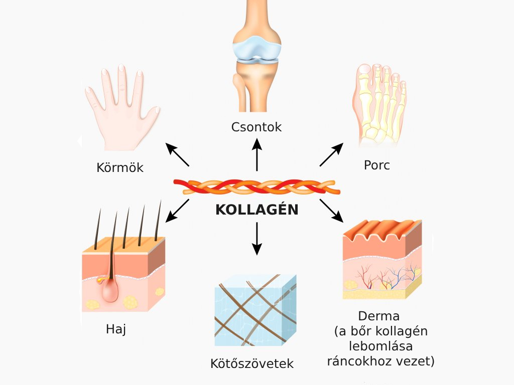 BrainMax Lipozomální Kolagen komplex, 250 ml Obrázek
