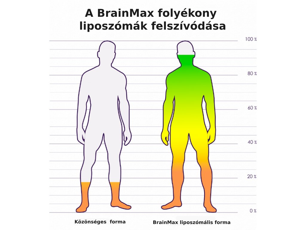 BrainMax Lipozomální Kolagen komplex, 250 ml Obrázek