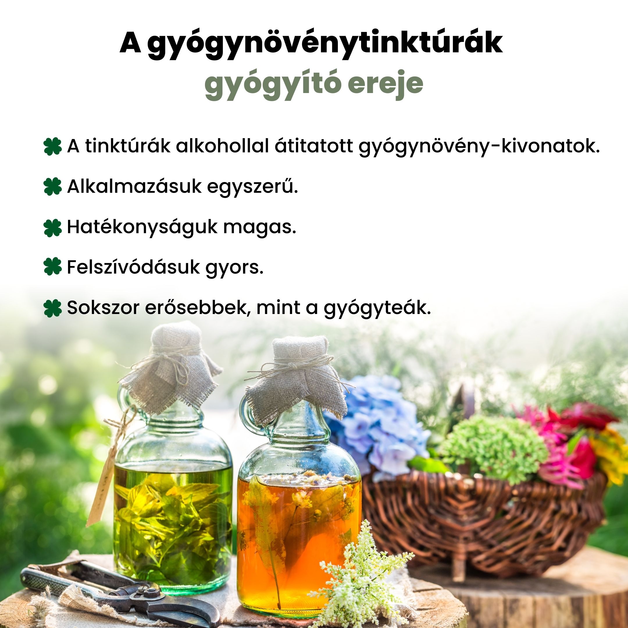 BrainMax Pure Rhodiola Rosea, tinktura 1:3, 100 ml Obrázek