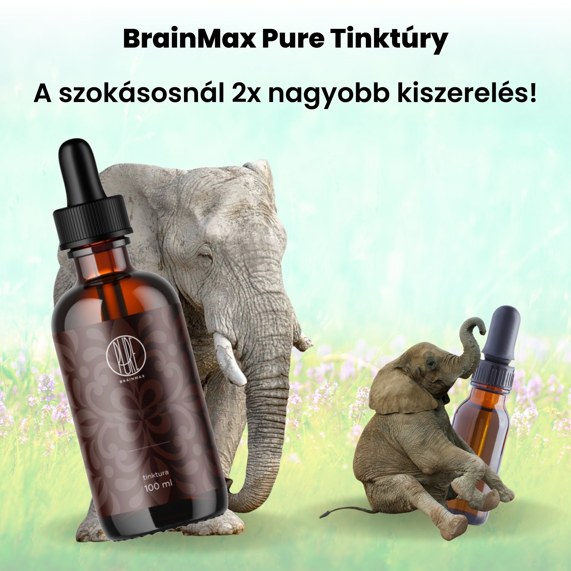 BrainMax Pure Rhodiola Rosea, tinktura 1:3, 100 ml Obrázek