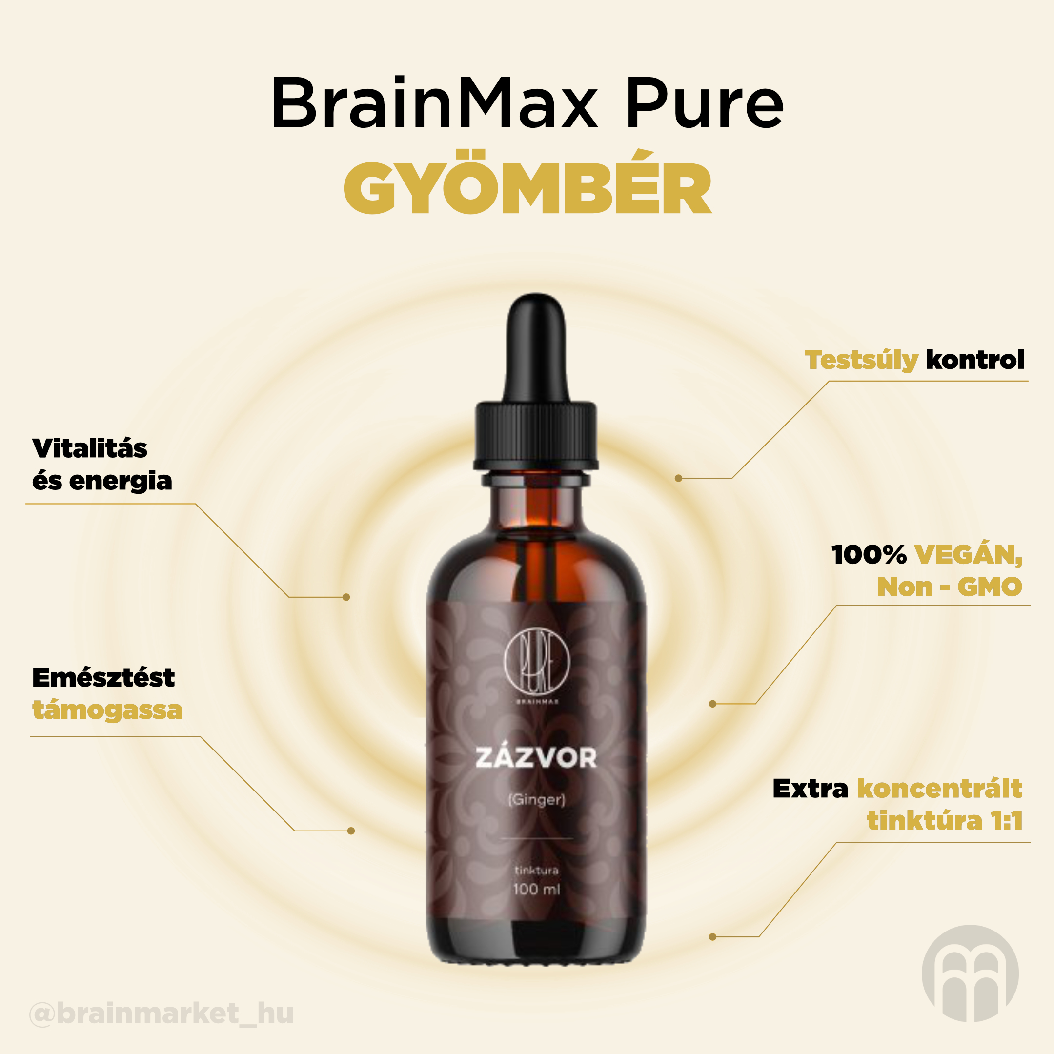 BrainMax Pure Zázvor, Ginger, tinktura 1:1, 100 ml Obrázek
