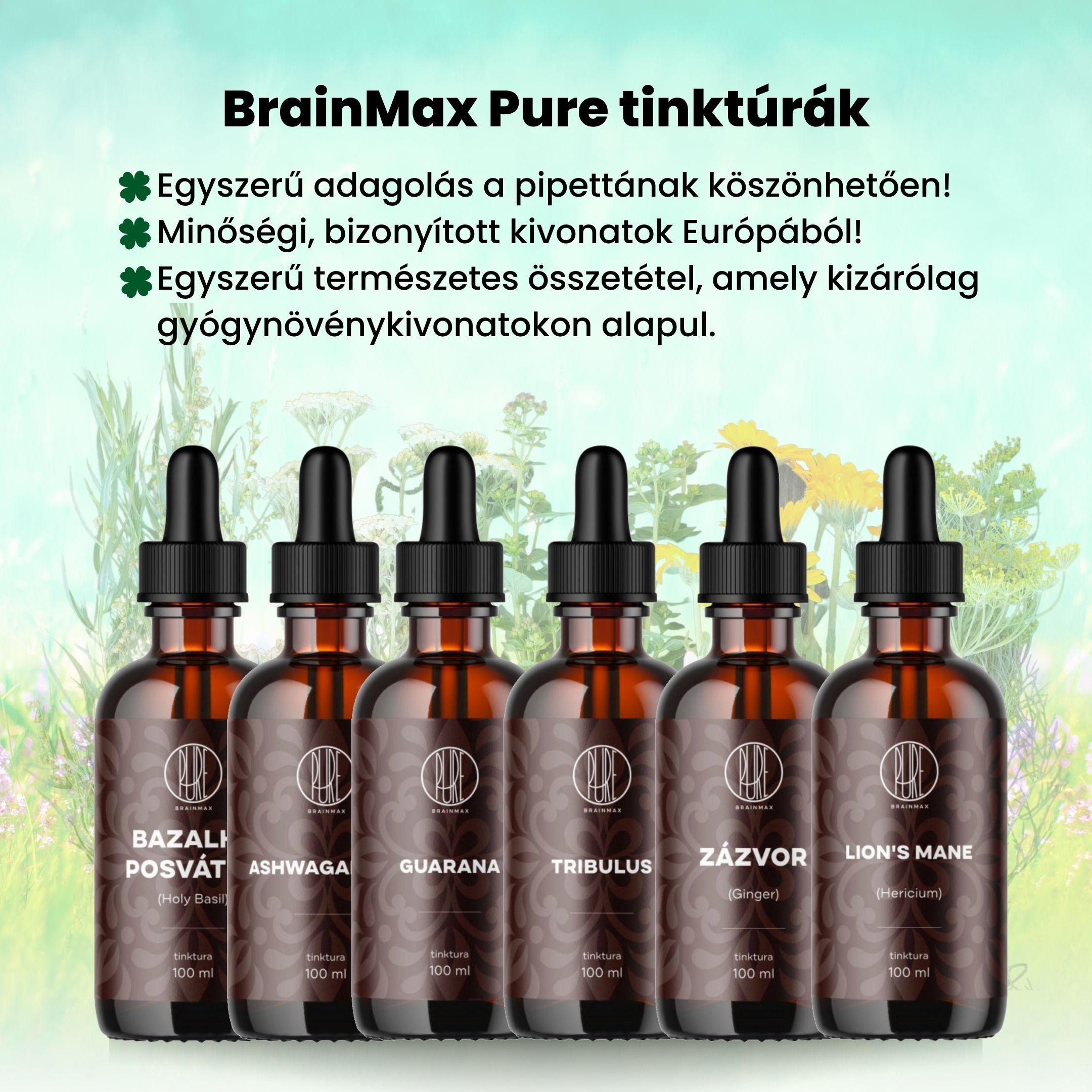 BrainMax Pure Maitake tinktura 1:2, 100 ml Obrázek