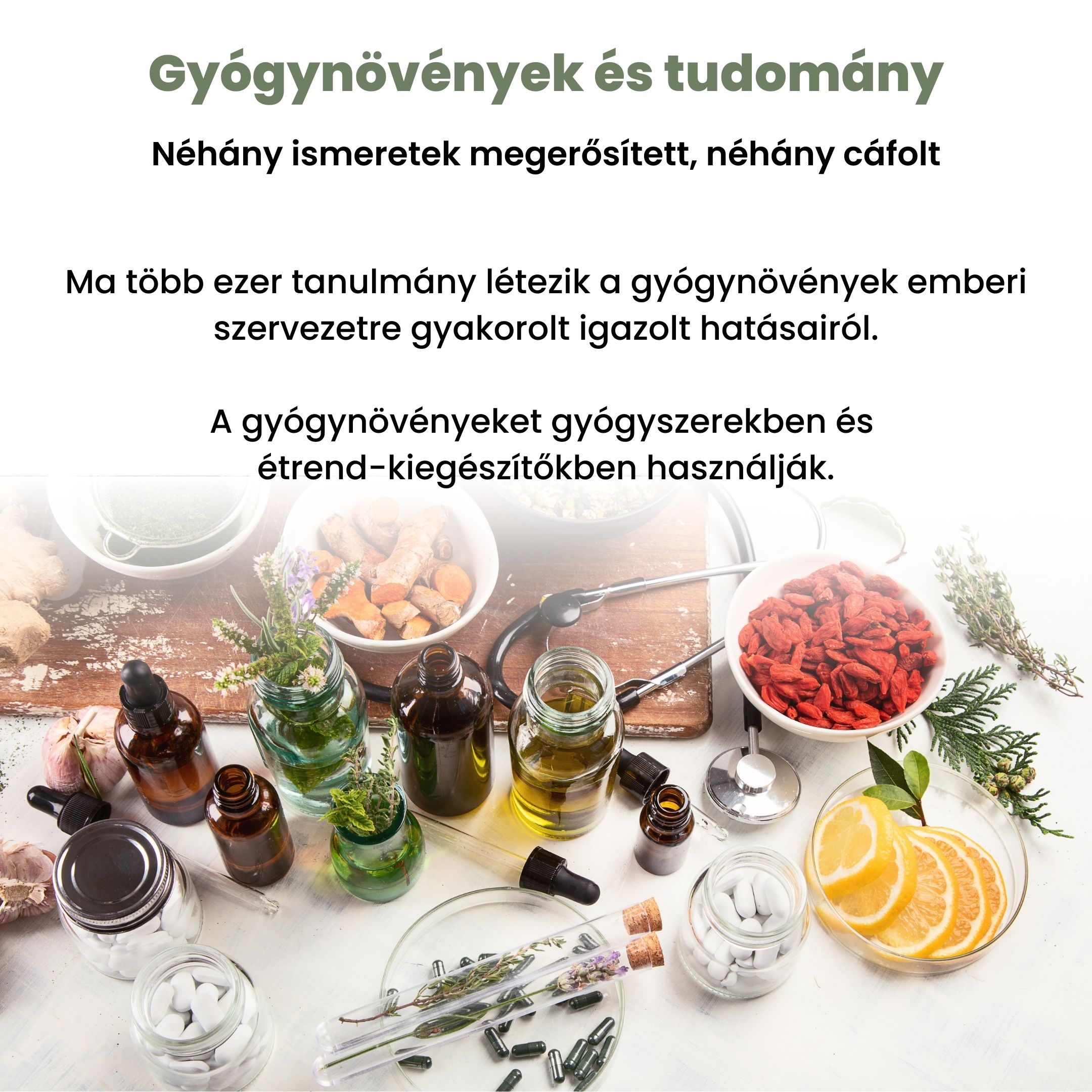 BrainMax Pure Pískavice (Fenugreek) tinktura 1:3, 100 ml Obrázek