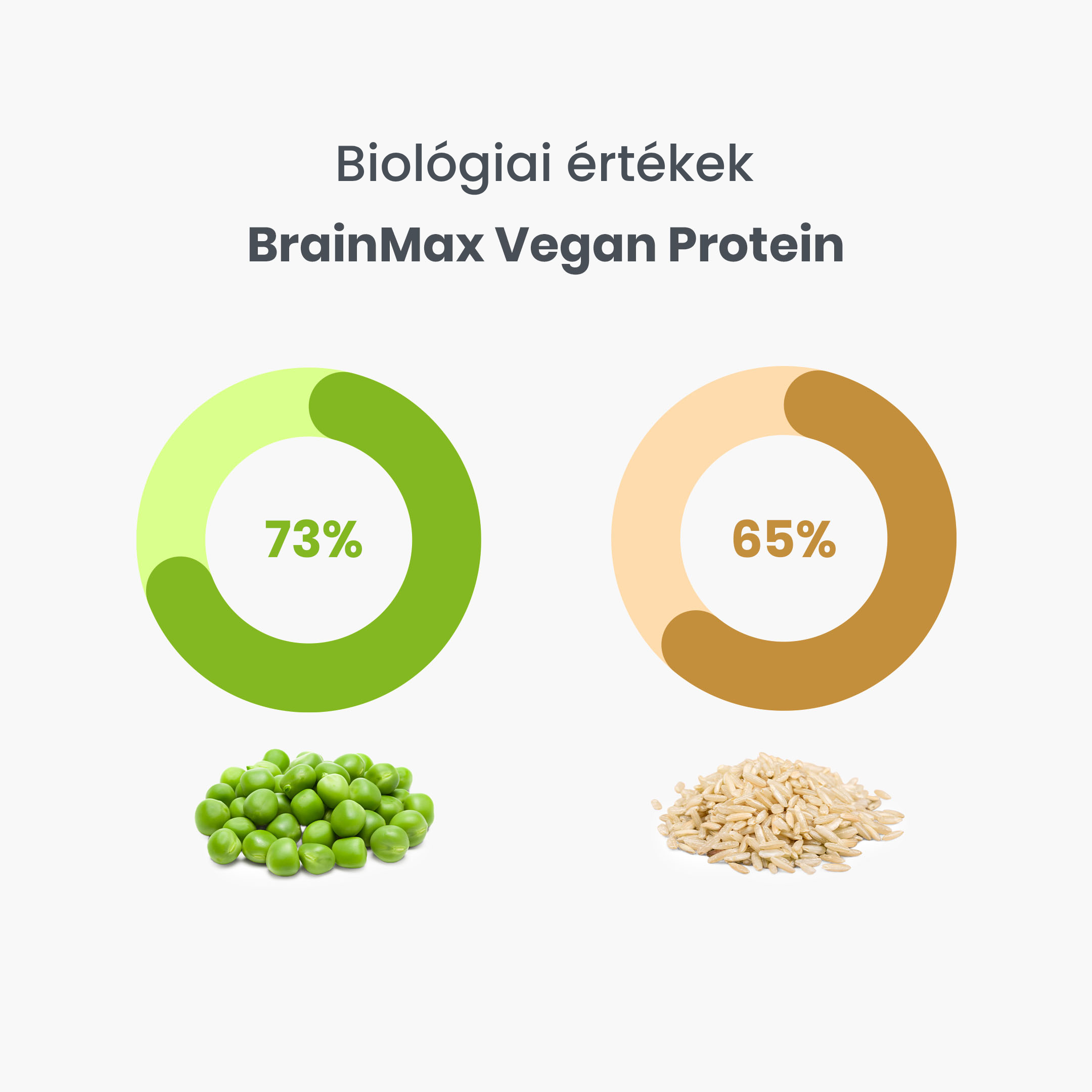 BrainMax Vegan protein, Kokos, 1000 g Obrázek