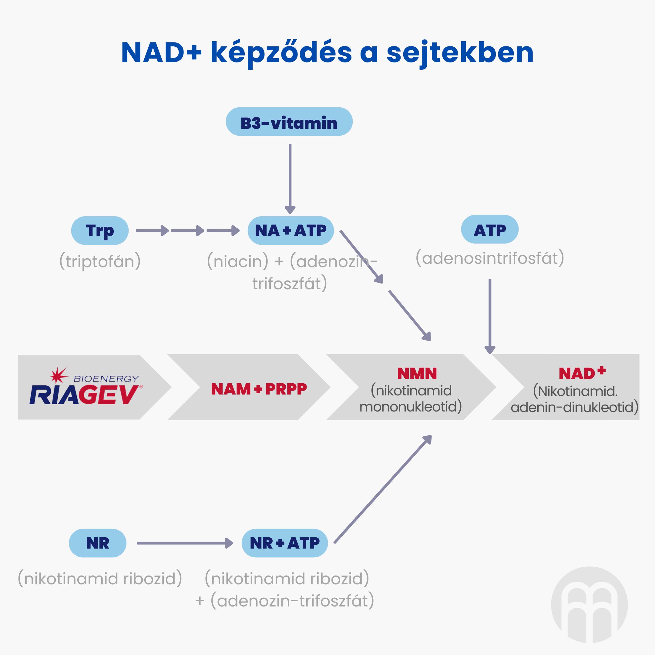 BrainMax NAD+ RiaGev®, 750 mg, 100 rostlinných kapslí Obrázek