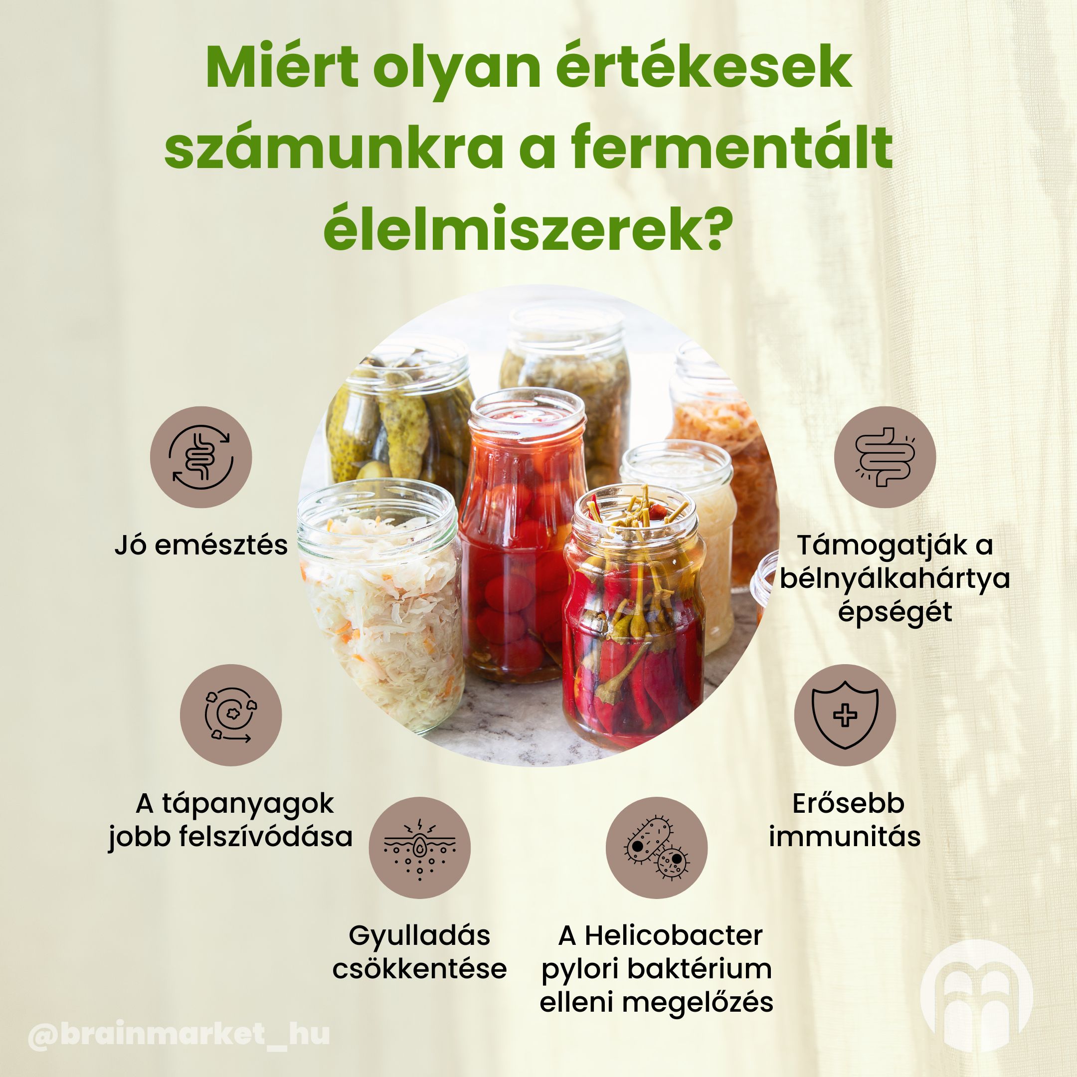 BrainMax Pure Beetroot & horseradish, kvašená červená řepa s křenem, BIO, 350 g Obrázek