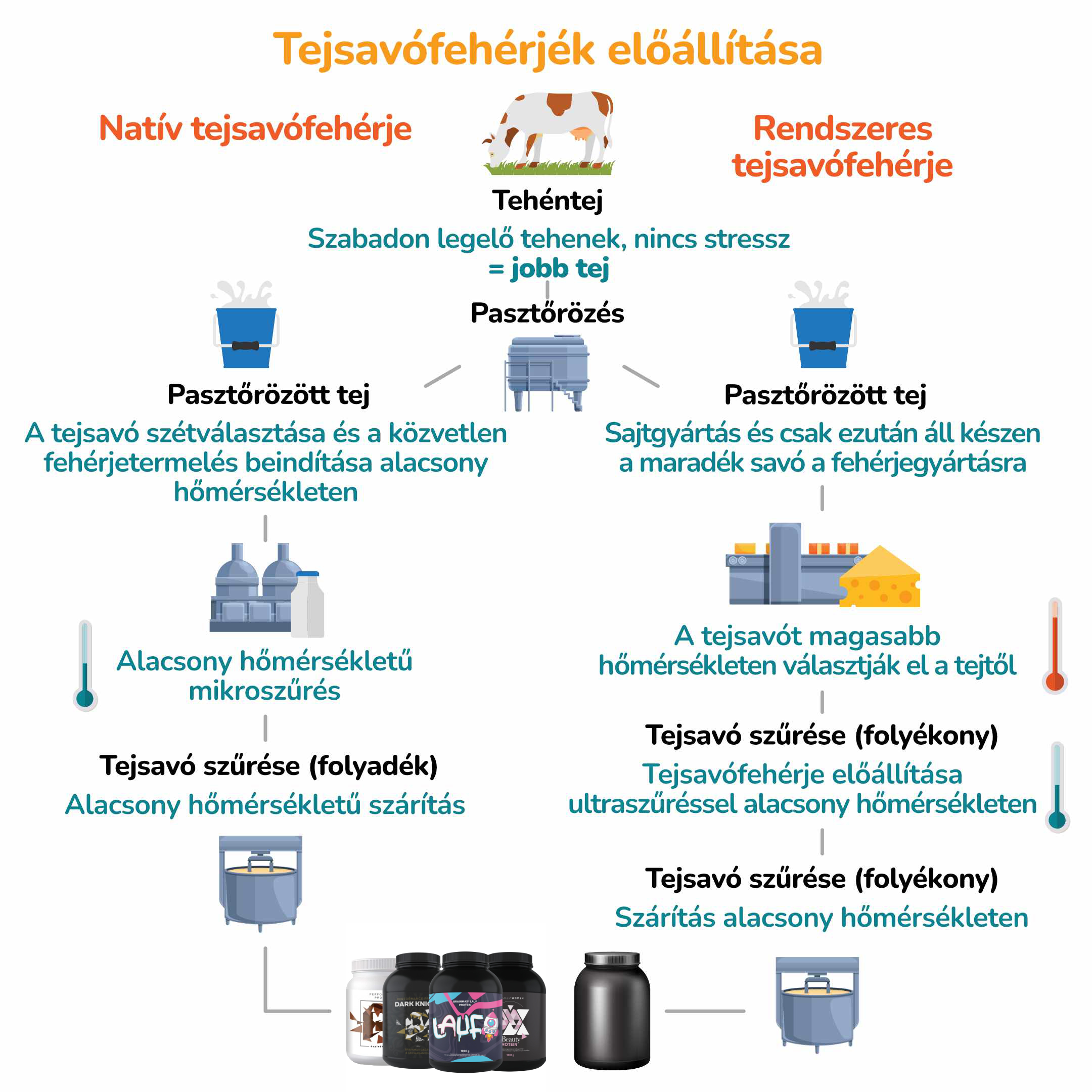 BrainMax Pure DIGES-TEA, čaj pro dobré trávení, 50 g, BIO Objem: 50 g Obrázek