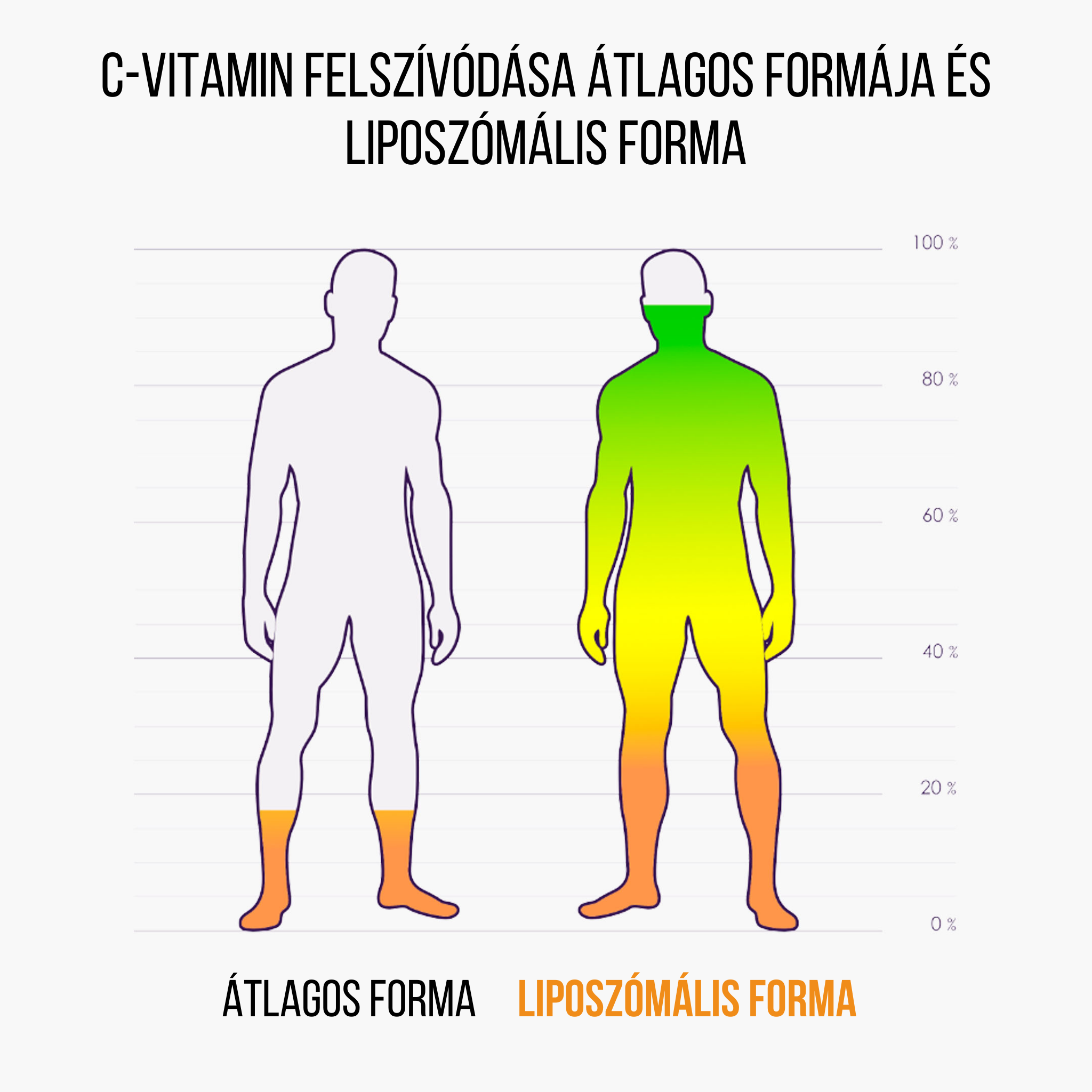 BrainMax IMMUNIZER! 60 rostlinných kapslí Obrázek