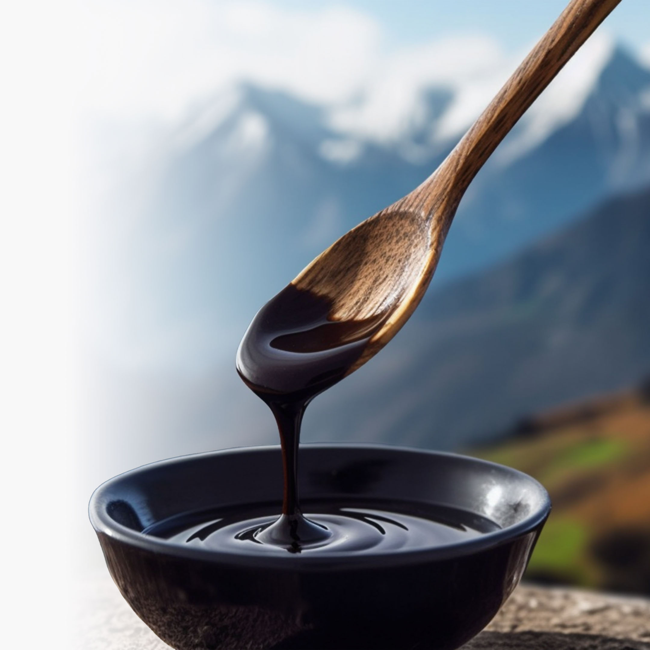 BrainMax Shilajit, 15 g Obrázek