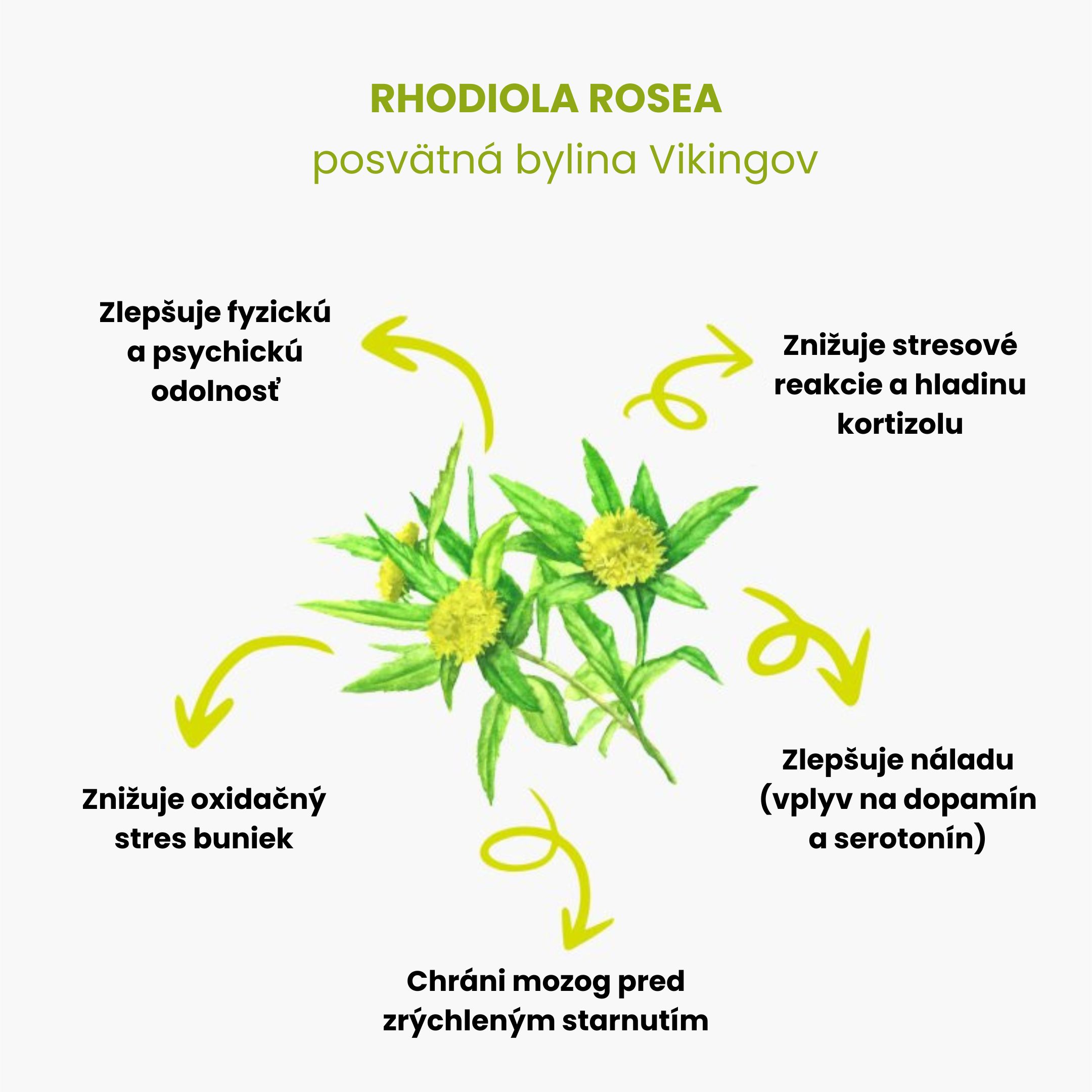 BrainMax Pure Rhodiola Rosea, tinktura 1:3, 100 ml Obrázek