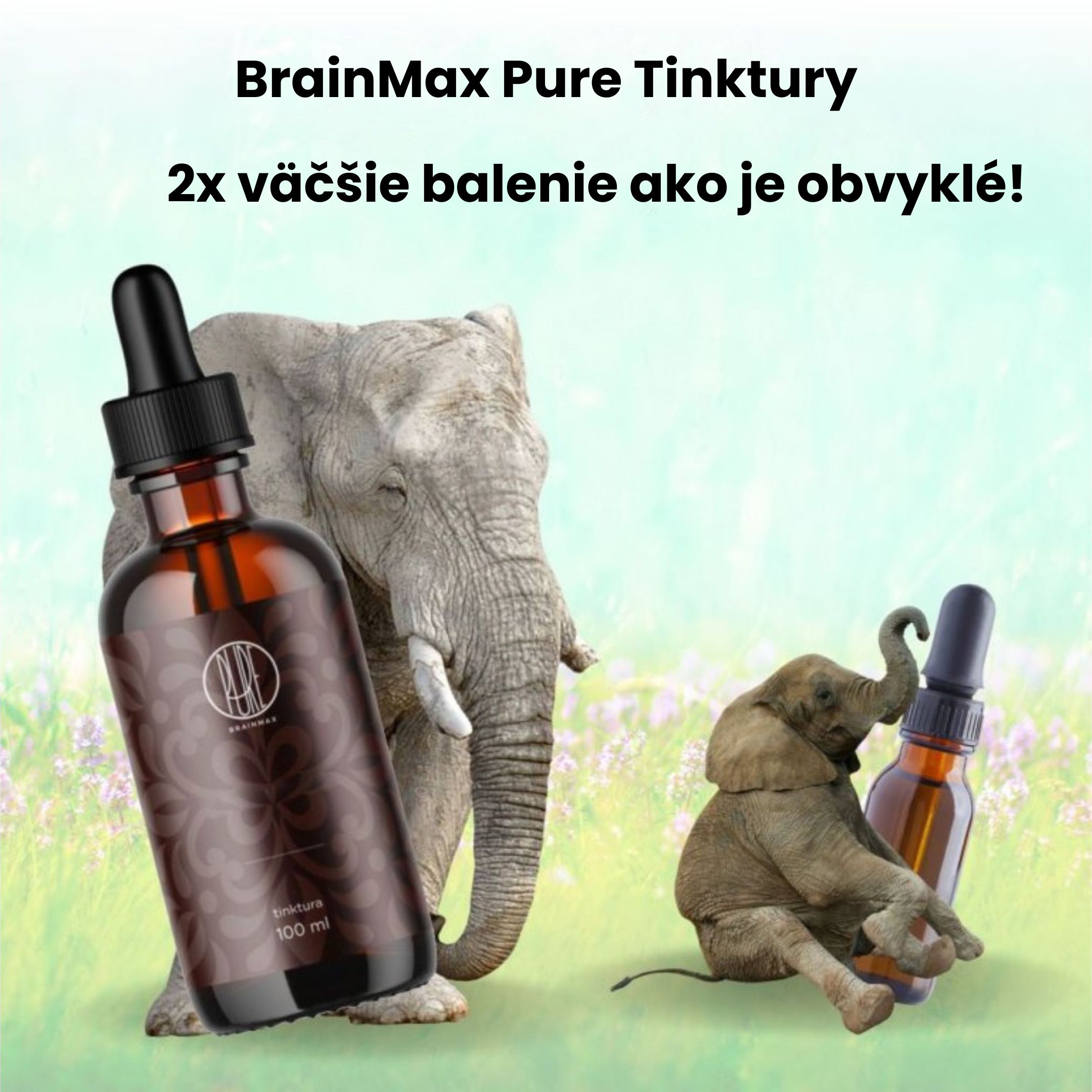 BrainMax Pure Rhodiola Rosea, tinktura 1:3, 100 ml Obrázek
