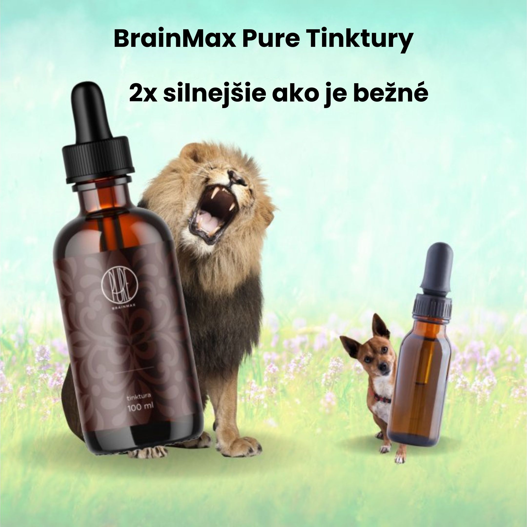 BrainMax Pure Rhodiola Rosea, tinktura 1:3, 100 ml Obrázek