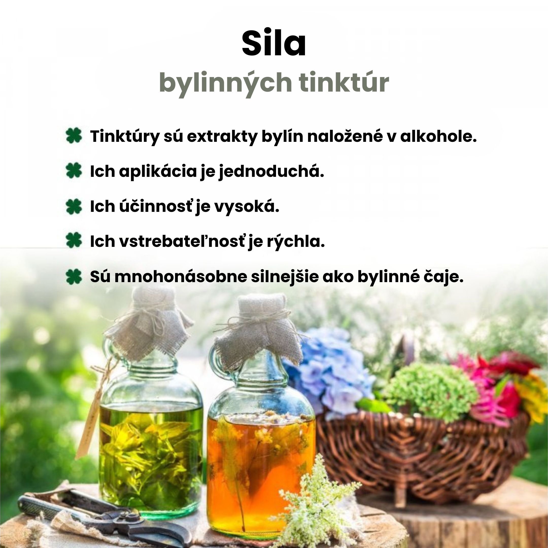 BrainMax Pure Rhodiola Rosea, tinktura 1:3, 100 ml Obrázek