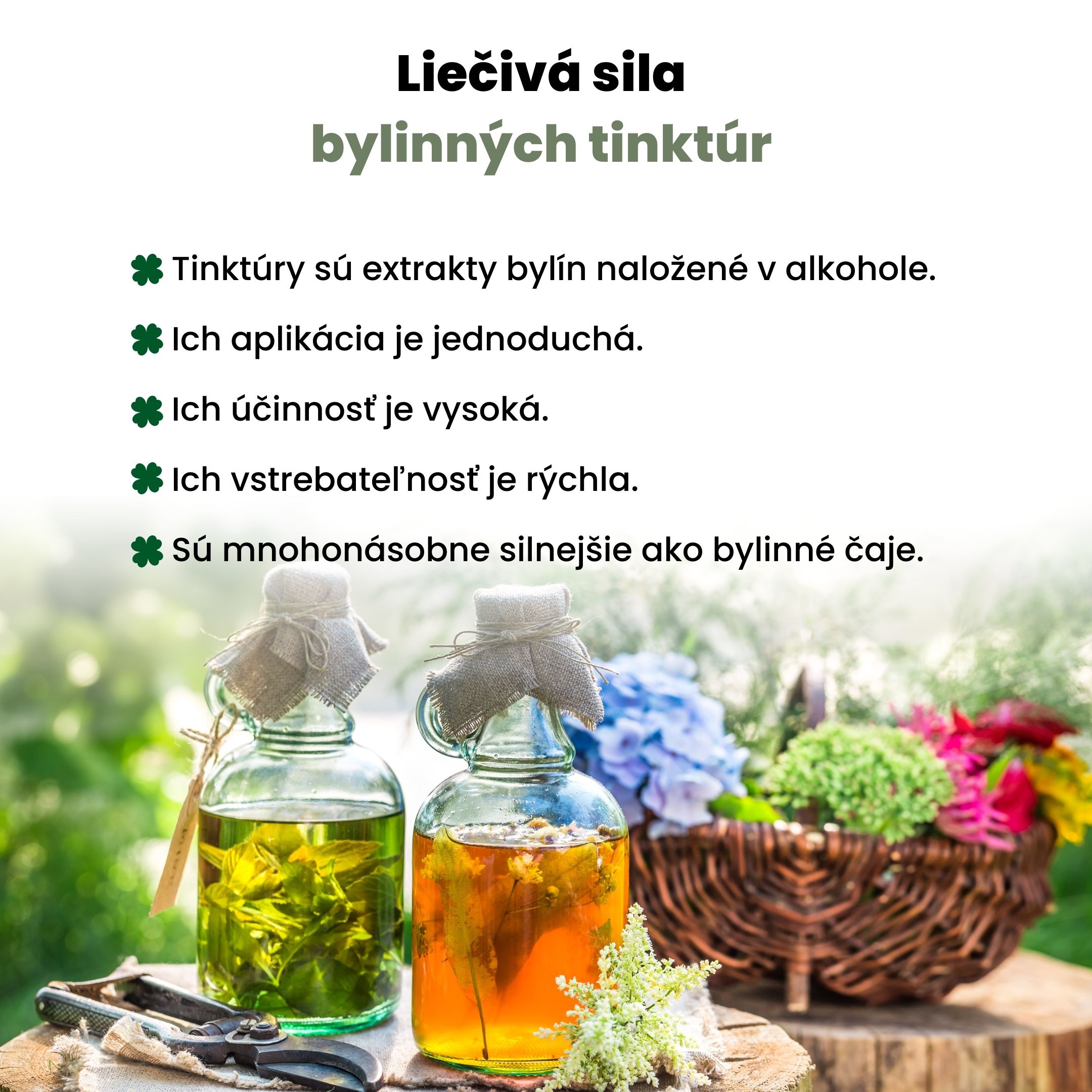 BrainMax Pure Maitake tinktura 1:2, 100 ml Obrázek