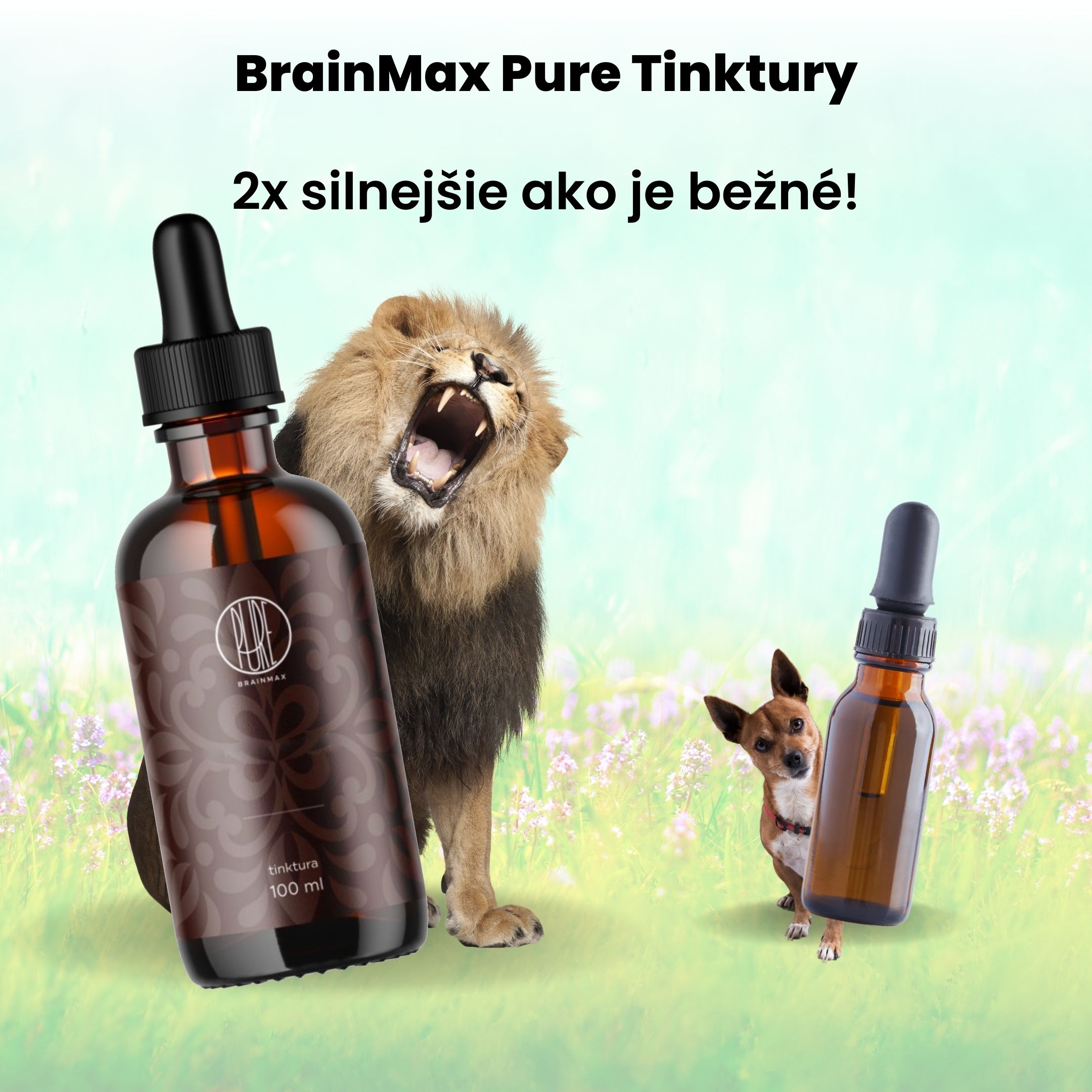 BrainMax Pure Maitake tinktura 1:2, 100 ml Obrázek