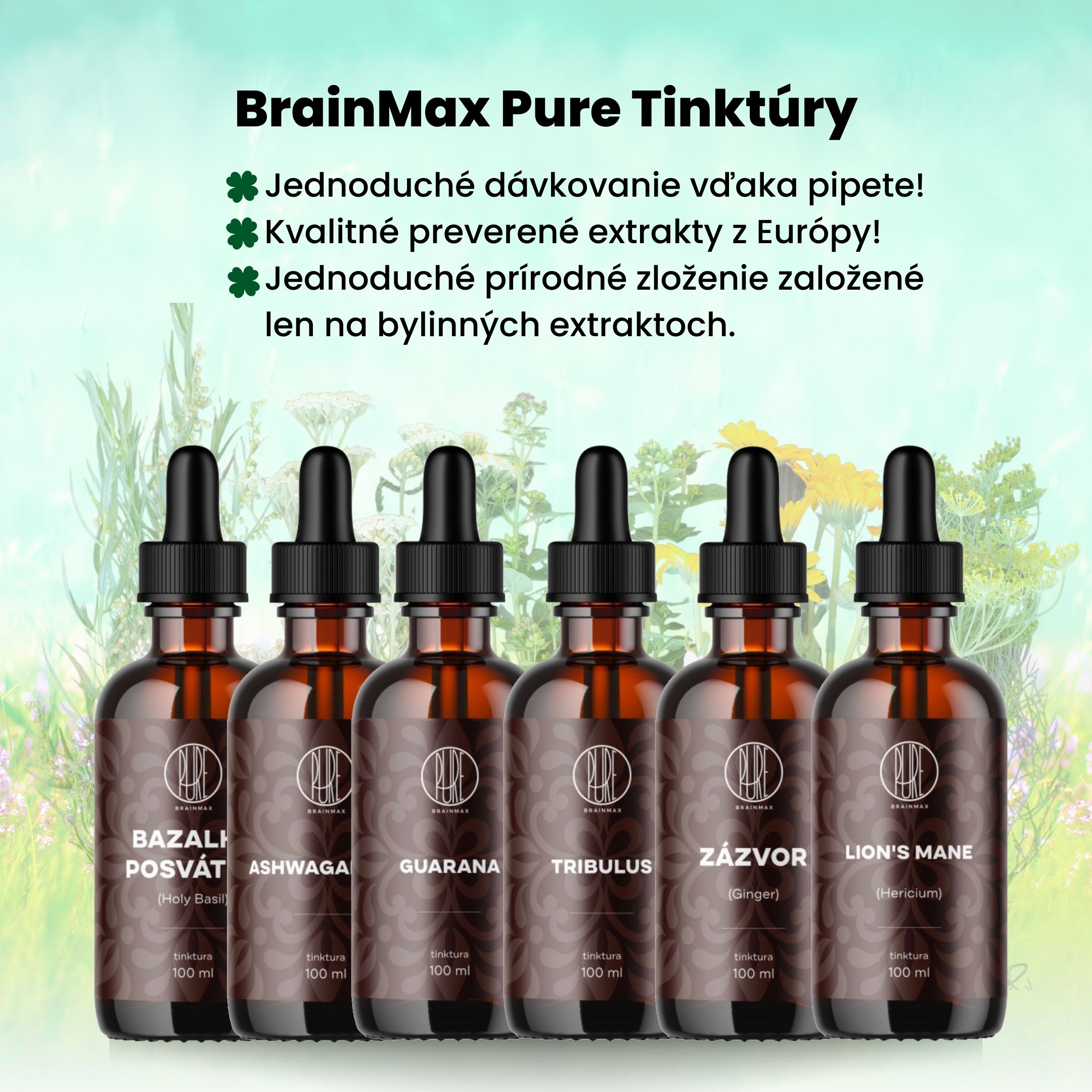 BrainMax Pure Maitake tinktura 1:2, 100 ml Obrázek