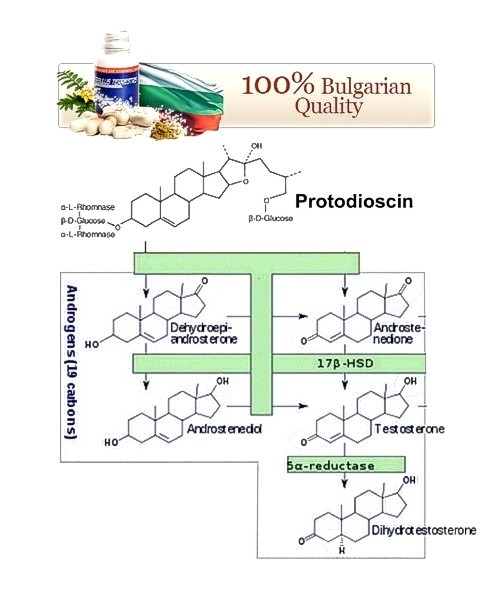 VemoHerb Bulgarian Tribulus 90 tablet Obrázek