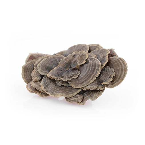 MycoMedica Coriolus 90 rostlinných tablet Obrázek