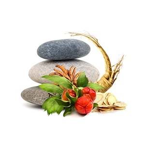 MycoMedica  MycoBalance 90 tablet Obrázek