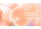 Barva roku - Peach Fuzz