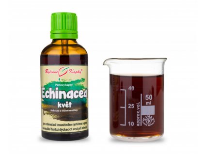 Bylinné kapky - Echinacea (třapatka) květ (bylinné kapky - tinktura) 50 ml