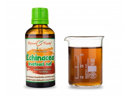 Bylinné kapky - Echinacea (třapatka) kvetoucí nať (kapky Duše rostlin - tinktura) 50 ml