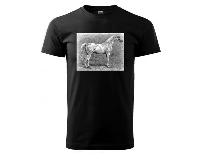 arabský kůň pánské tričko