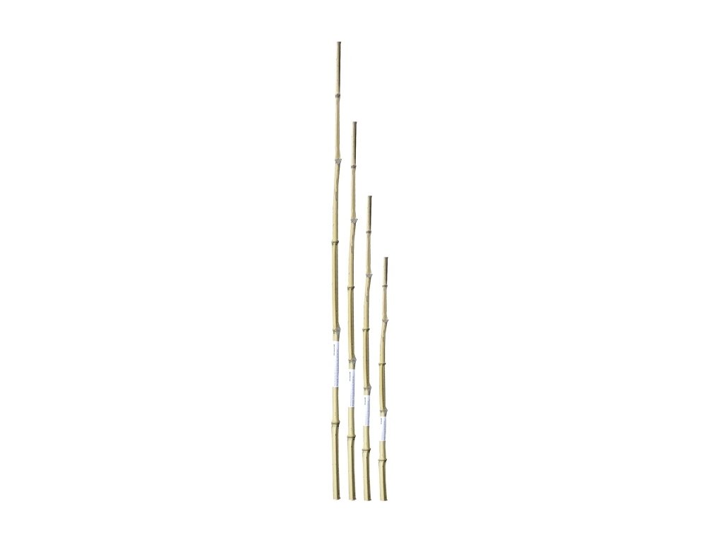 Bambusová tyčka 150 cm 14-16 mm 2 ks