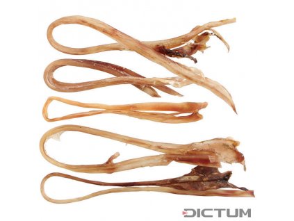 Dictum 831247 - Ostrich Sinews, 5-Piece Set