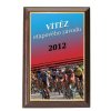 Plaketa  CPLP3M24 cyklistika