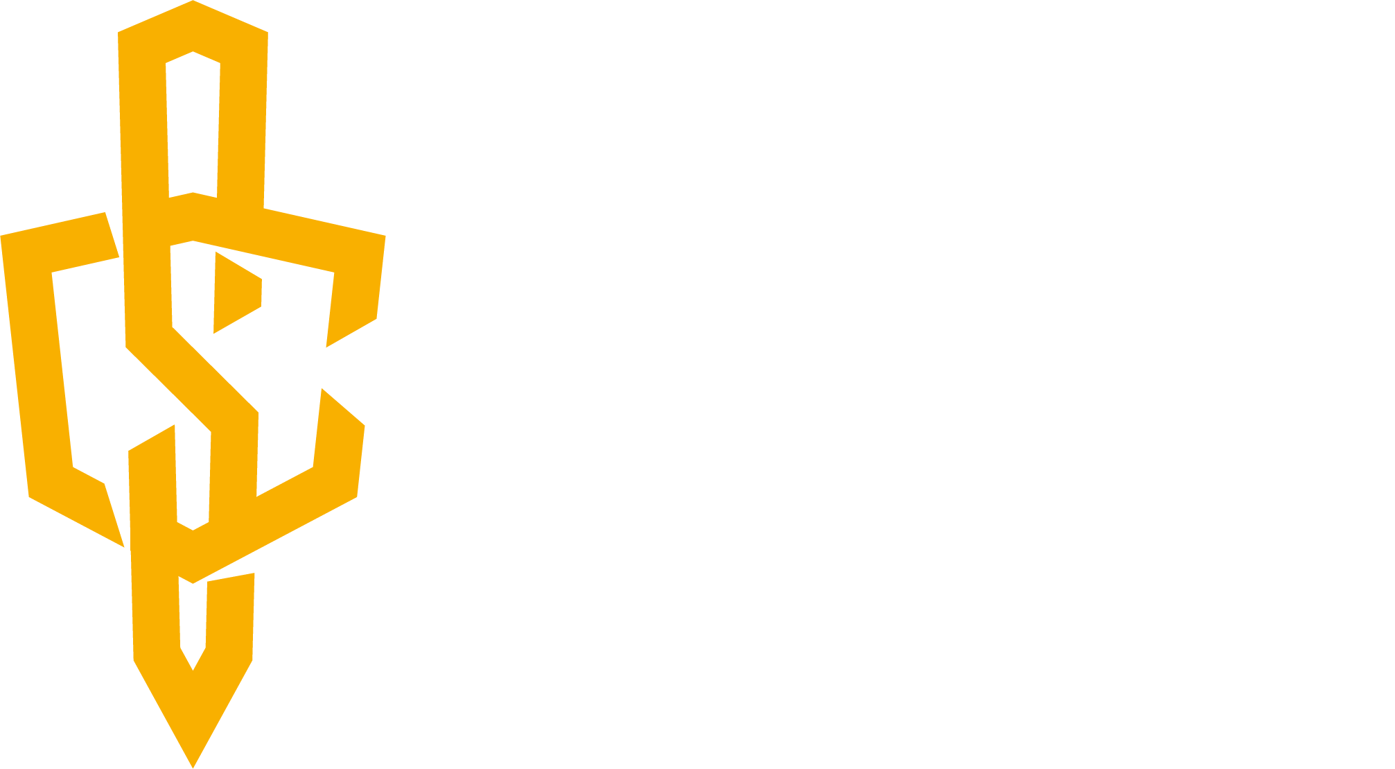 Combat Systems