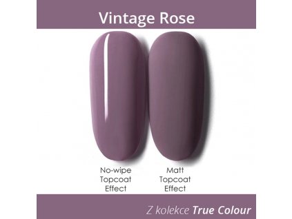 670 gdcoco uv gel true color vintage rose 8 ml