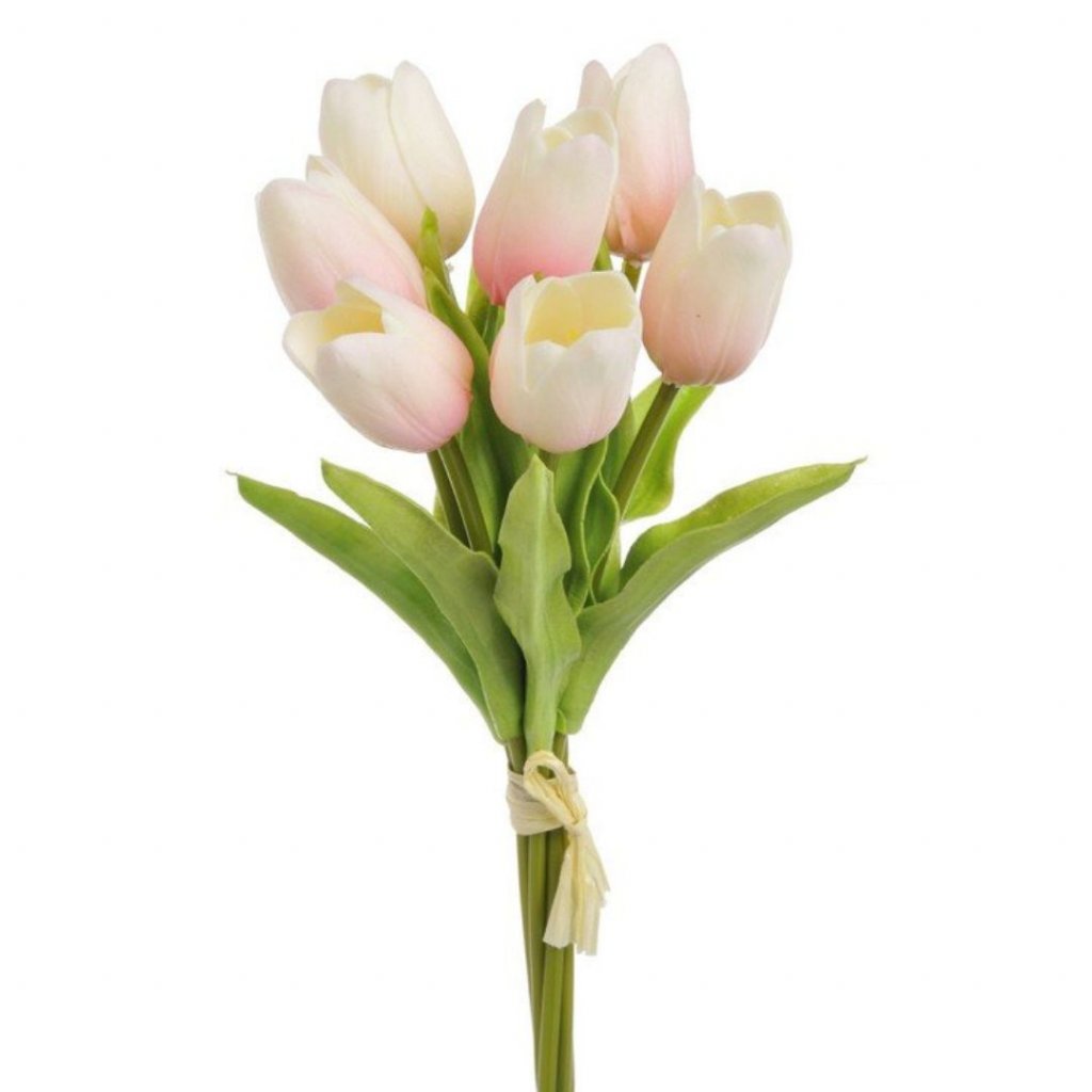 tulipán pěnový (2)