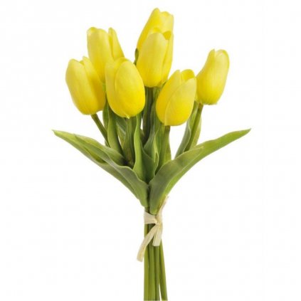 tulipán pěnový (1)