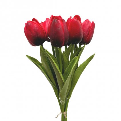 tulipany cervene