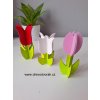 Tulipánek 3D