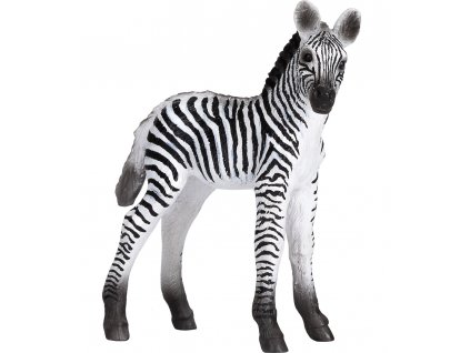 Mojo Zebra mládě novinka