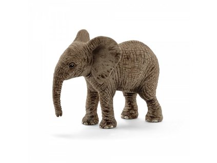 Zvířátko - mládě slona afrického