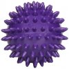 Massage Ball masážní míč fialová