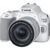 Zrcadlovka Canon EOS 250D + 18-55 IS STM, bílá