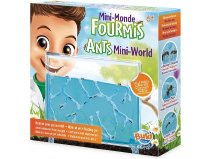 Akvárium pre mravce (FS4206)
