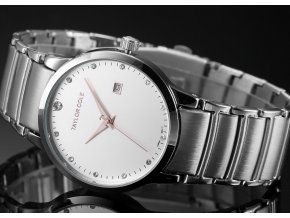 Atraktivní dámské hodinky Taylor Cole Echo s datumem - stříbrné