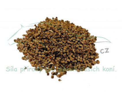 Drmek obecný (semeno celé) - Agnus castus semen 1kg