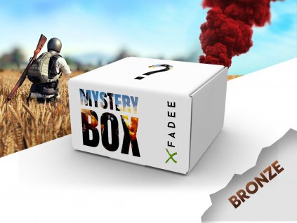 PUBG Mystery box bronze