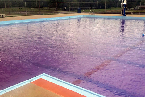 Fialově zbarvená voda v bazéně?