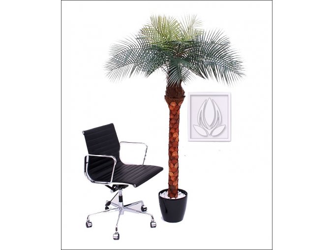 10657 umela palma phoenix lux 170cm