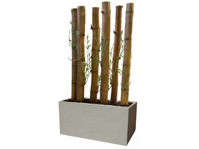 Umelý strom Bambusová stena (Varianta 80/180cm)